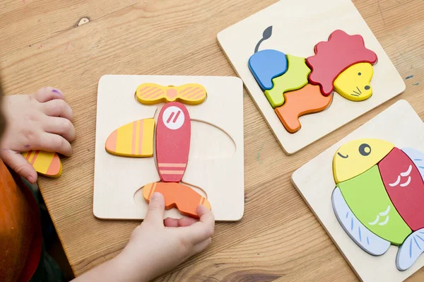 Jigsaw Bebek Erken Eğitim Oyuncakları 3 boyutlu Yapboz Çocuklar Yetenek Egzersizi Çocuklar Tahta Hediyeler. Erkek eli yapboz parçasında. Erken eğitim, odaklanma egzersizleri