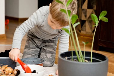 Bahar bahçıvanlığı. Soğan ekiyorum. Evdeki etkinlikler. Doğanın bilgisi. Kavanozda soğan.