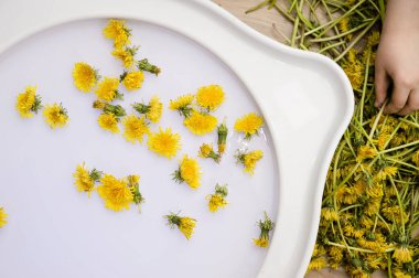 Çocuklar duyusal aletler. Doğal karahindiba ile ev oyuncağı. Açık hava çiçek süsleme aktivitesi. Kağıdın ikinci hayatı. Mukavva vazo. Akıllıca yeniden kullan.