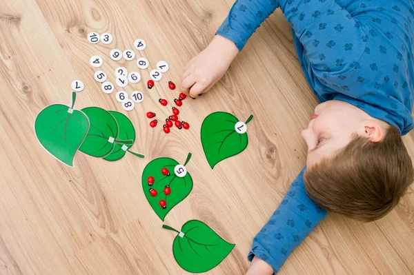 Junge Auf Dem Boden Liegend Und Selbstgebasteltes Zählspiel Marienkäfer Auf — Stockfoto