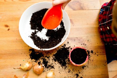 Bahar bahçıvanlığı. Soğan ekiyorum. Evdeki etkinlikler. Doğanın bilgisi. Kavanozda soğan. Genç bahçıvan. Erken eğitim. Doğanın bilgisi..