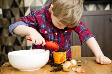 Bahar bahçıvanlığı. Soğan ekiyorum. Evdeki etkinlikler. Doğanın bilgisi. Kavanozda soğan. Genç bahçıvan. Erken eğitim. Doğanın bilgisi..