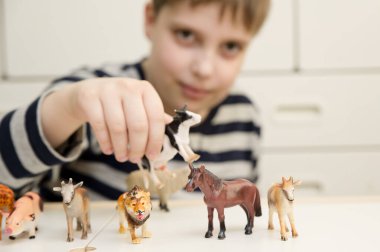 Çocuk plastik hayvan figürleriyle oynuyor. Hayvanların korunması. PETA. Çocuk oyuncakları zürafa, domuz, keçi, aslan, inek, at,