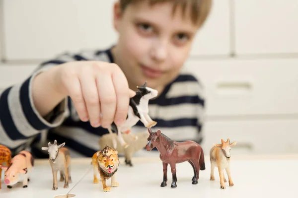 kid plays with plastic figurines of animals. Protection of animals. PETA. Children\'s toys giraffe, pig, goat, lion, cow, horse,