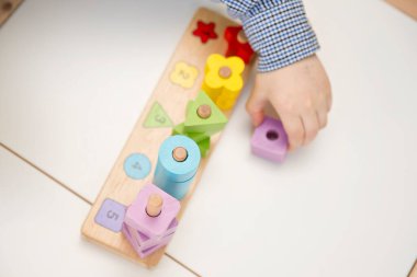 Saymayı, şekilleri ve renkleri öğrenmek. Montessori tipi uygulama. Eğitim için tahta oyuncaklar. İnce motor beceriler, beyin egzersizleri ve zihinsel gelişim için terapi görevi Mantık eğitimi oyunu. 