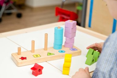 Saymayı, şekilleri ve renkleri öğrenmek. Montessori tipi uygulama. Eğitim için tahta oyuncaklar. İnce motor beceriler, beyin egzersizleri ve zihinsel gelişim için terapi görevi Mantık eğitimi oyunu. 