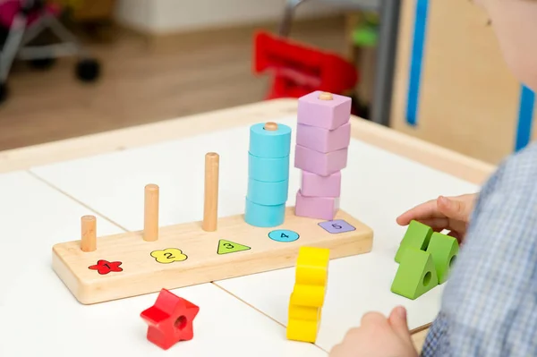 Learning counting, shapes and colors. Montessori type implement. Wooden toys for education. Fine motor skills, therapeutic task for brain exercises and mental development Logic training game.