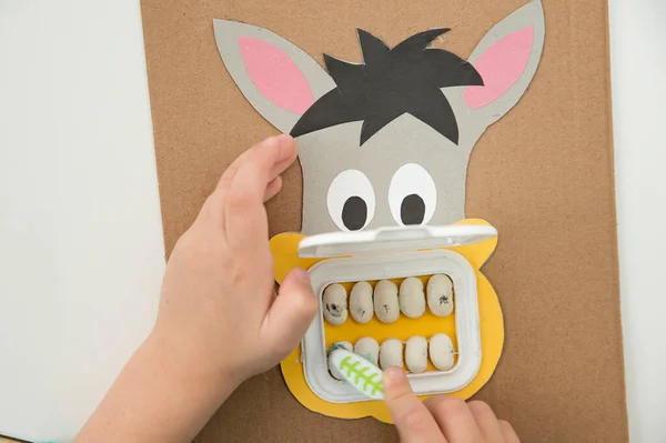 A dentist. Kid plays with DIY toy. Boy washing donkey teeth with toothbrush. Idea for smart mommy how to motivate children to brush your teeth? Wet wipes door mouth and bean teeth.