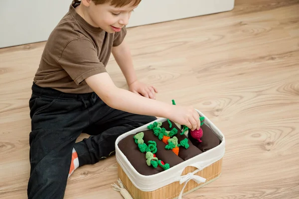Boy is playing a gardener game. Harvest fields. Healthy food for children. Gardening and farming concept. Activities at home. Knowledge of nature. Handmade knitted toys - vegetables.