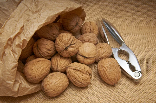 Nueces, cascanueces y bolsa de papel —  Fotos de Stock