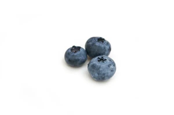 Blueberries from the wood isolated — Stock Photo, Image