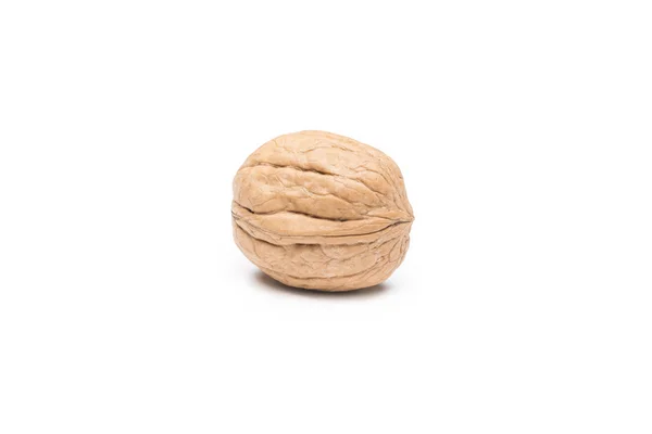 Walnut — Stockfoto