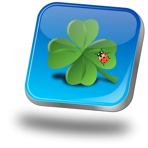 Tombol dengan shamrock dan ladybug — Stok Foto