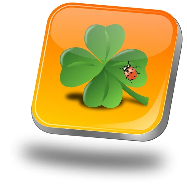 Button with shamrock and ladybug — Stock Photo, Image