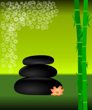 Spa konseptiyle bambu grove ve zen taşları
