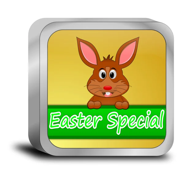 Botón especial de Pascua con conejito de Pascua —  Fotos de Stock