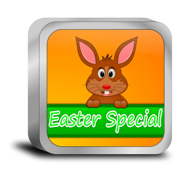 Botón especial de Pascua con conejito de Pascua —  Fotos de Stock