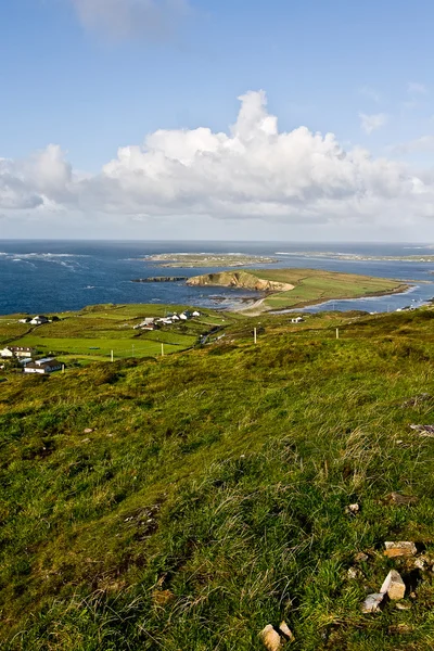 Landschaft in Dingle Halbinsel — Stockfoto