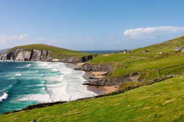 Cliffs dingle Yarımadası'nda, İrlanda