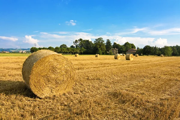 Fall is comming — Stock Photo, Image