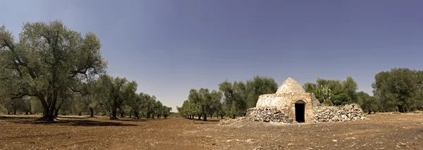 Panorámica - vista de la puglia —  Fotos de Stock