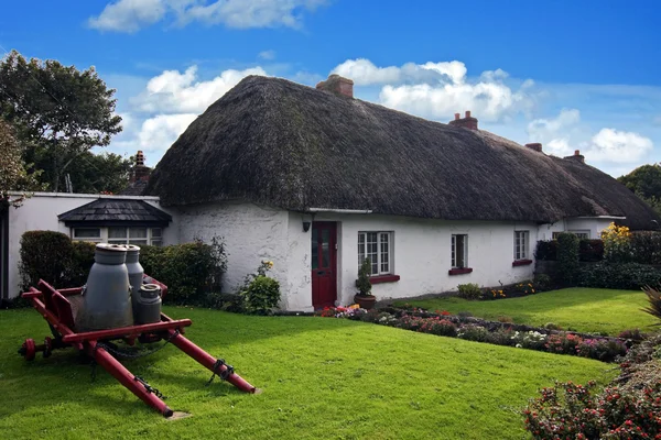adare İrlandalı geleneksel yazlık evi