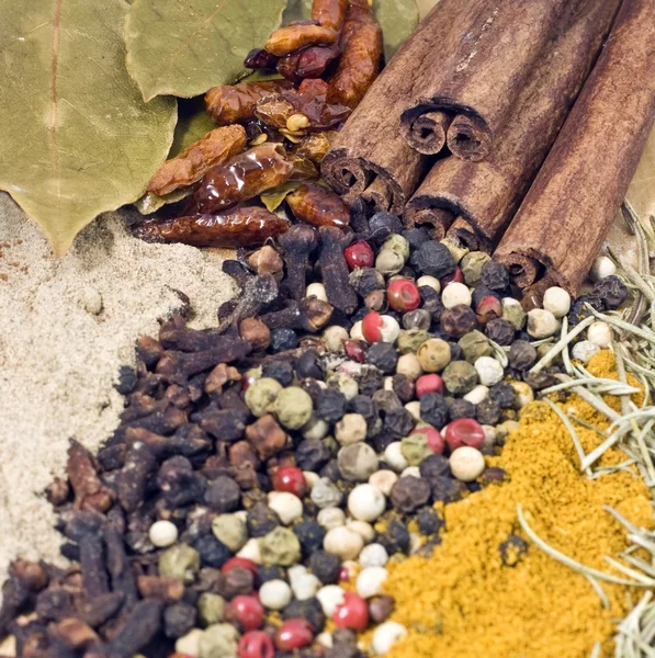 Spices and herbs — Stock Photo, Image