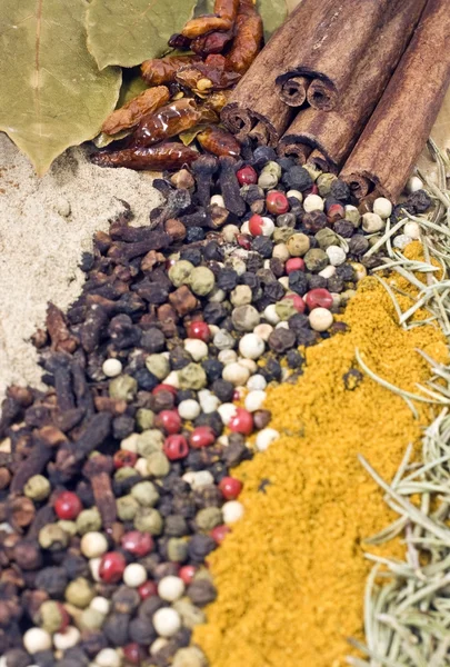 Spices and herbs — Stock Photo, Image