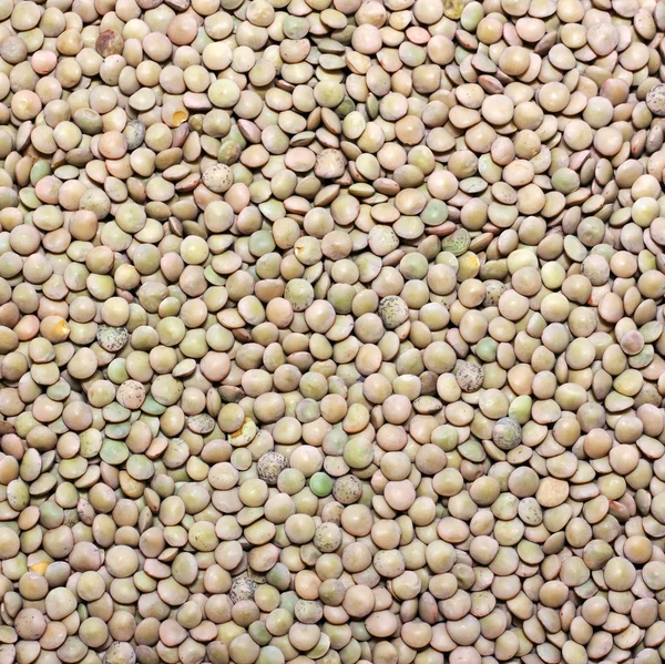 Texture of lentils Royalty Free Stock Images