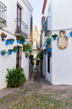 Cordoba, İspanya. Calleja de las Flores, İspanya 'nın Cordoba şehrinde geleneksel çiçek festivali sırasında bulunan ünlü dar bir sokak.