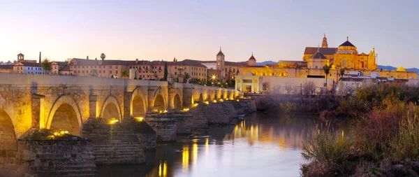 Roma Köprüsü Guadalquivir Nehri Ulu Cami Cordoba Spanya — Stok fotoğraf