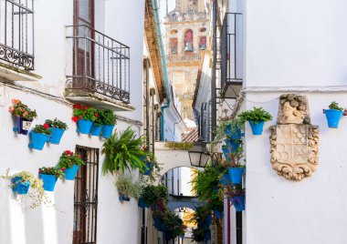 Cordoba, İspanya. Calleja de las Flores, İspanya 'nın Cordoba şehrinde geleneksel çiçek festivali sırasında bulunan ünlü dar bir sokak.