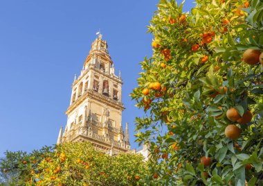 Giralda ve portakal ağacı avlusu, Bu Endülüs, İspanya, Sevilla şehrin Santa Maria de la Sede Katedrali'nin çan kulesine verilen isim.