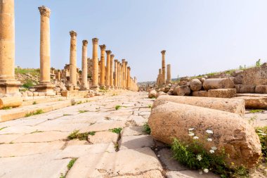 the architecture of the Roman Ruins of Jerash in the north of Amann in Jordan in the middle east. Jordan, Jerash, 2018
