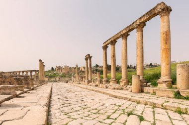 Eski Roma şehri Gerasa 'daki Artemis Tapınağı, Jerash, Ürdün. Başkent Amman 'ın 48 km kuzeyinde yer almaktadır..