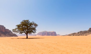 Wadi Rum, Ürdün 'ün güneyinde. Akabe 'nin yaklaşık 60 km doğusunda yer almaktadır. Wadi Rum, UNESCO 'nun Dünya Mirası Alanı olarak adlandırılmasına yol açtı ve Ay Vadisi olarak da bilinir..