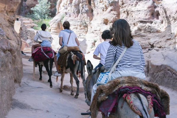 Touriste Utilisant Âne Bédouin Pour Transport Petra Jordan Descend Les — Photo