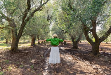 Young  girl with hat and open arms in in an  olive grove, in Puglia, Italy. Seen from behind.
