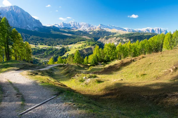 Vandring Dolomiter Europeiska Alperna Skjuten Sommaren Med Grönt Gräs Och — Stockfoto