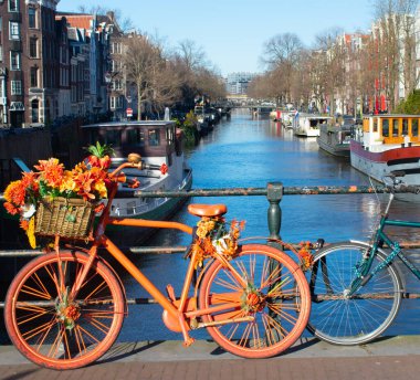 Amsterdam sembolik, çiçekli ve arka planda kanalı olan parlak bir bisiklet