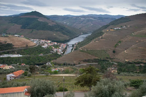 Panorama Doliny Douro Kraju Wina Portowego Portugalia — Zdjęcie stockowe