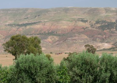 Bahar boyunca Fas 'taki Marakeş dağ sıralarında Camal at biniciliği