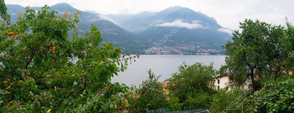 Italian Orange Tree in foreground and lake como in background Italy