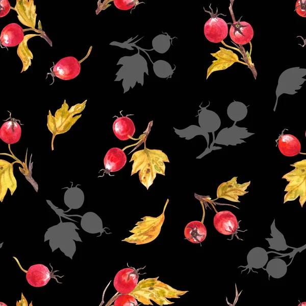 Siyah arkaplanda böğürtlen ve dikenli dalların kusursuz deseni, sonbahar arkaplanı, Şükran Günü tebrik kartları ve diğer tasarımlar için baskı..