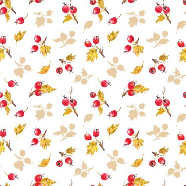 Beyaz arka planda böğürtlen ve yapraklı dikenli dalların kusursuz deseni, ambalaj kağıdı, kumaş ve diğer tasarımlar için baskı.