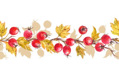 Böğürtlenli dikenli dikenli dalların kusursuz sınırı, beyaz arka planda suluboya çizimi, izole edilmiş, kumaş, tebrik kartı ve diğer tasarımlar için baskı.