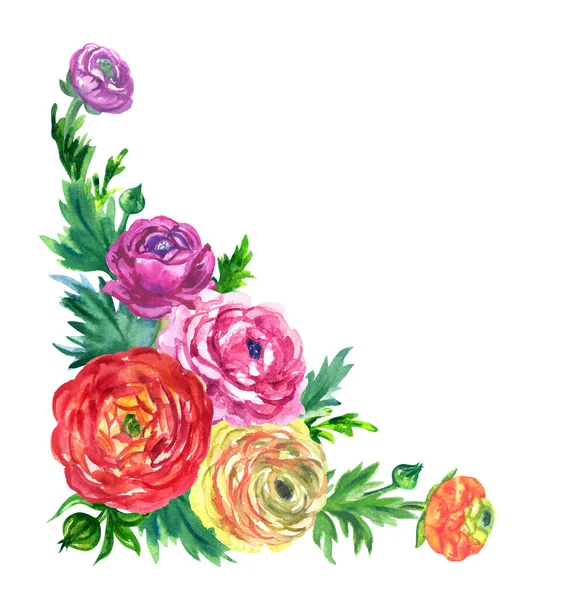 Coin Des Fleurs Printanières Ranunculus Illustration Aquarelle Composition Décorative Cliparts — Photo