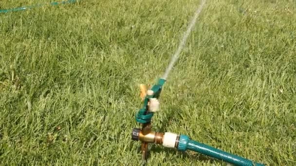 Automatische Bewässerung des Rasens — Stockvideo