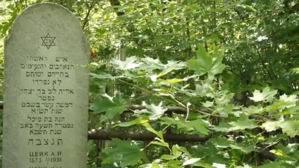 The Jewish cemetery — Stock Video