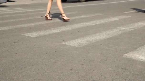 横断歩道 — ストック動画